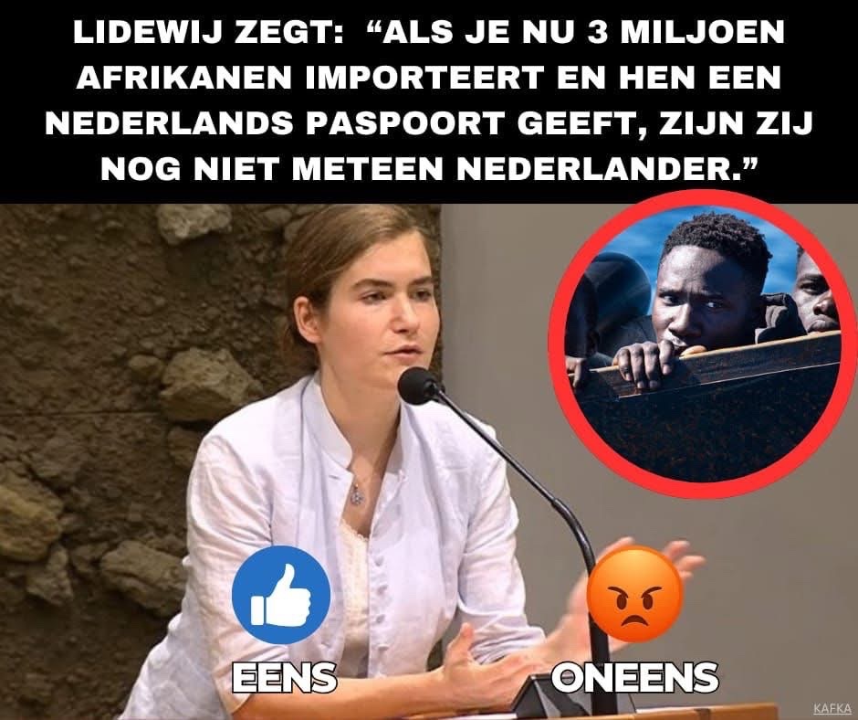 Tanja_M 🇳🇱 tweet media