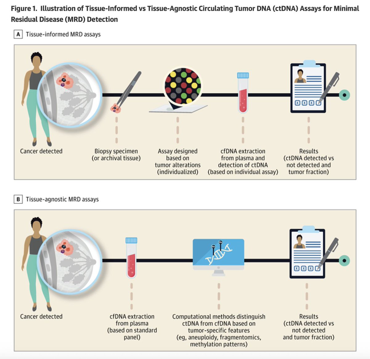 IlanaSchlam's tweet photo. Happy to share our review on ctDNA in early breast cancer. We discuss current evidence, clinical applications, challenges, and future directions @stolaney1  @StefiMorganti @nlinmd @hthrparsons @DFCI_BreastOnc @JAMAOnc 

https://t.co/ULtE0F7hJk https://t.co/bAyAxRqwyf