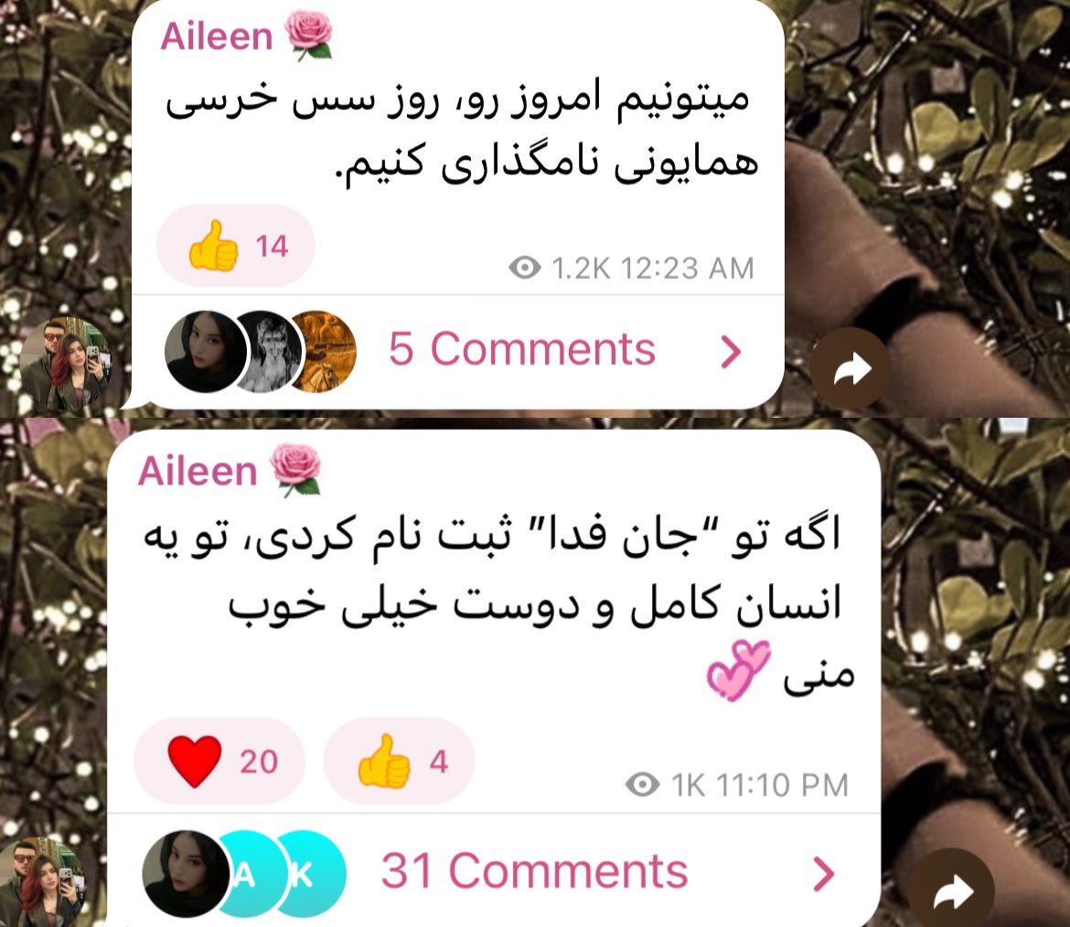 xxnlx tweet media