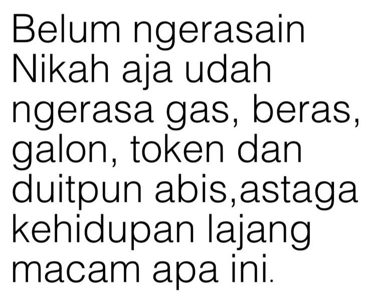 zel tweet media