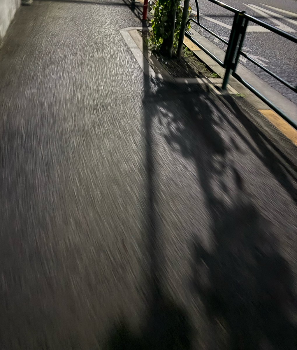 morimotoshoji's tweet photo. 東京に戻りました。明日からまた通常運転となります。レントミー https://t.co/qd7SoTCZb2