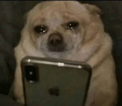 roomeatt's tweet photo. eek ! buka twitter isinya perpisahan istri istri gue semua 😭😭 https://t.co/Idpb23URmP