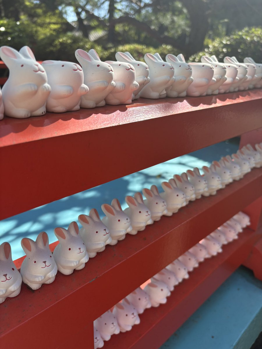 cherriuna's tweet photo. I went to Japan! https://t.co/ia1JERpOyf