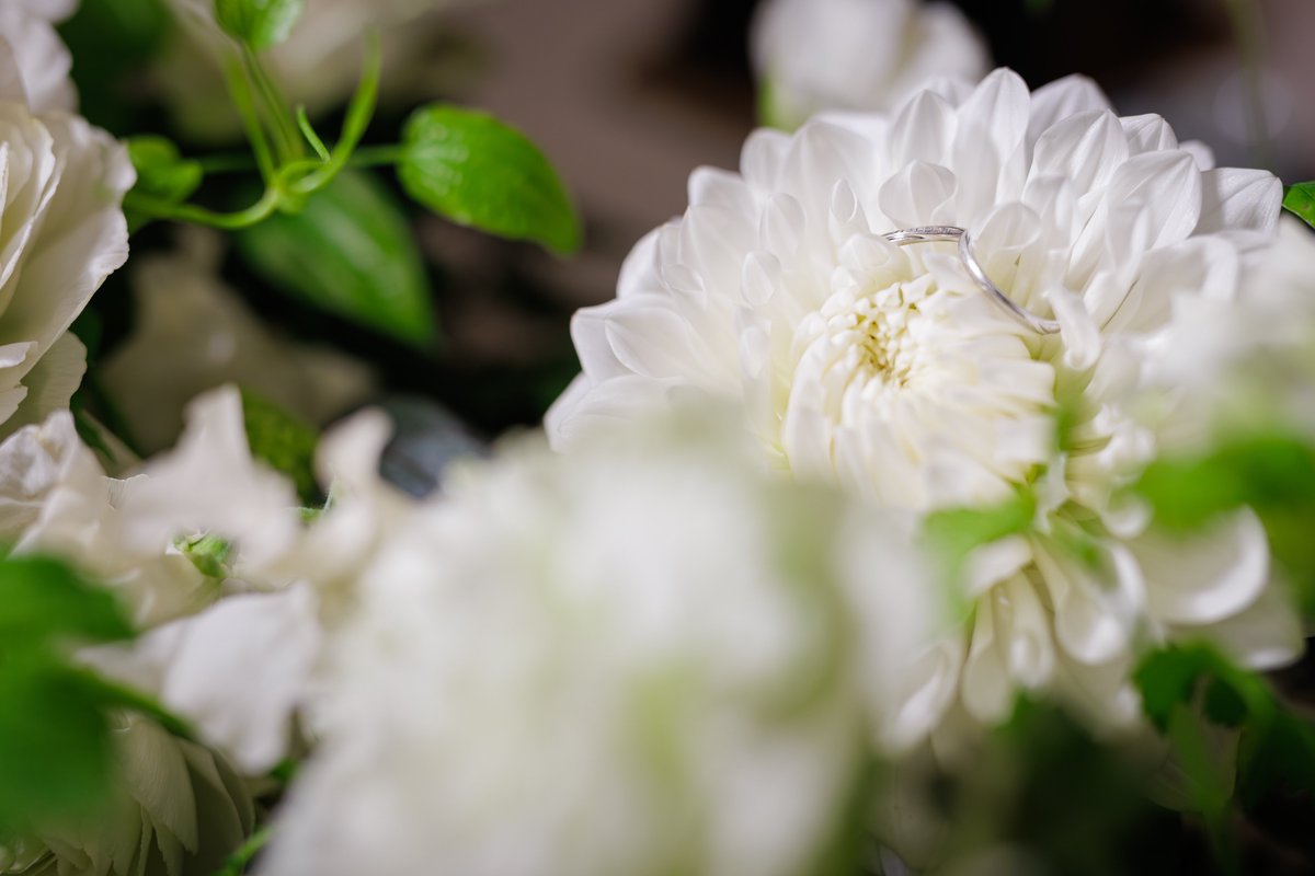 snk007_'s tweet photo. 先日、結婚式を挙げました💐
大切な方々に感謝を伝える良い機会でした✨

夫の希望により前世Ver.も撮影したので良かったら見てください😂💞
来世でもよろしくお願いするつもりです🥰!! https://t.co/0CSfKgCW0F
