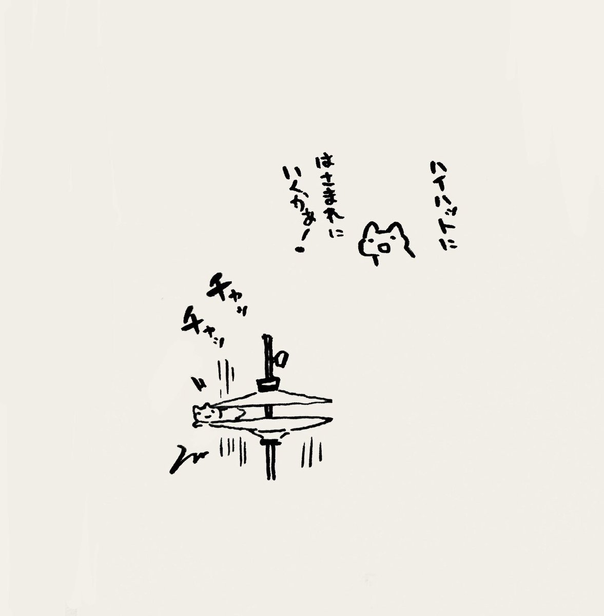 Saichi01's tweet photo. https://t.co/l3NeFNIx31