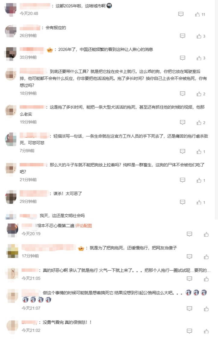 李老师不是你老师 tweet media