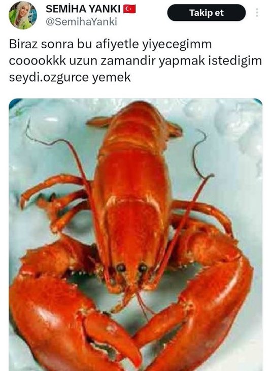 Fatih Özdeş tweet media