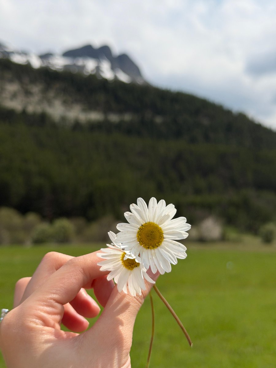 MeseElmas's tweet photo. İyi bayramlar 🌼 https://t.co/ETWksnLqqo