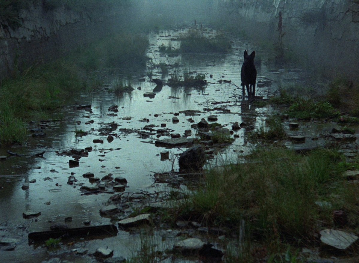 stagescreen60's tweet photo. STALKER (1979, A. Tarkovsky) https://t.co/BZx73Lucfc