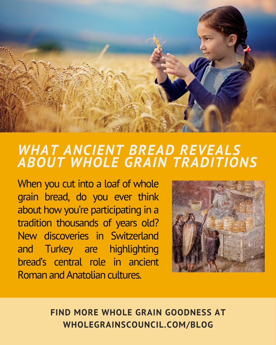 OldwaysPT's tweet photo. Actual pieces of preserved bread found in archeological digs are few and far between, which makes some recent ﬁnds particularly exciting. 

Read more about ancient breads in our new blog post here: https://t.co/sjfyLIrgF6 https://t.co/SBqoV8mz4V