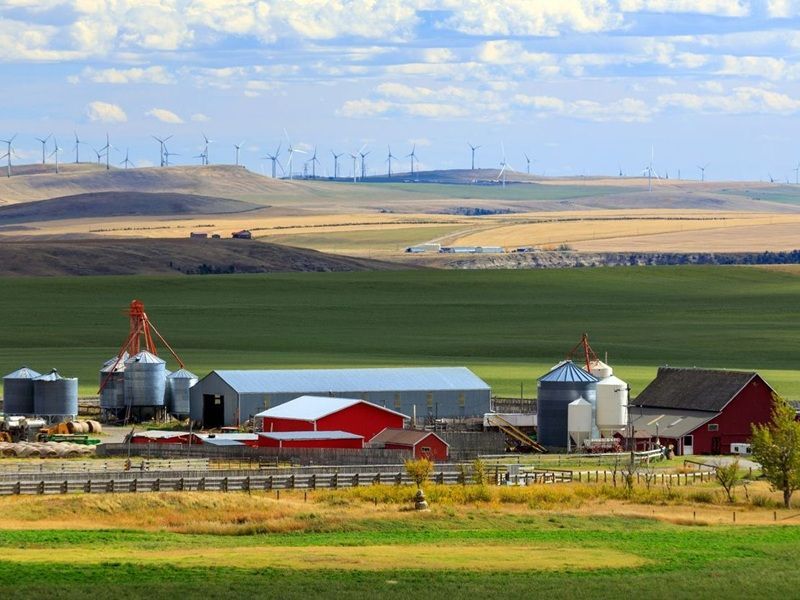 CdnUnderwriter's tweet photo. “For sure you are seeing that diversification because farms want to increase their revenues, but it’s putting pressure on coverages.” https://t.co/pSduy0BIBr https://t.co/Xe9fuYv82N