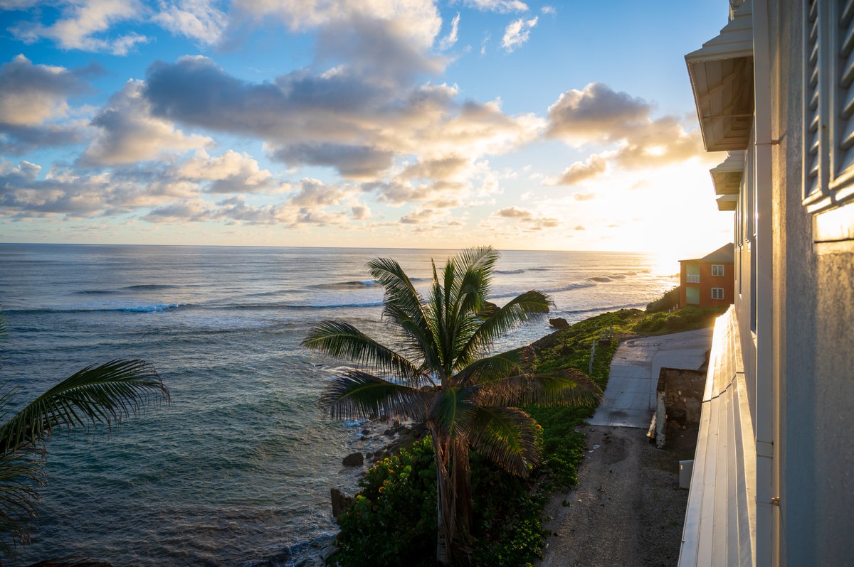 welcomestamp's tweet photo. If this is your idea of a perfect view, Barbados might be your new home. 🇧🇧

Visit https://t.co/z6T1rebUpU to find out more about working remotely from paradise!

#BarbadosWelcomeStamp #DigitalNomad #DigitalNomadLifestyle #WelcomeStampVisa https://t.co/pY4sAT3hss