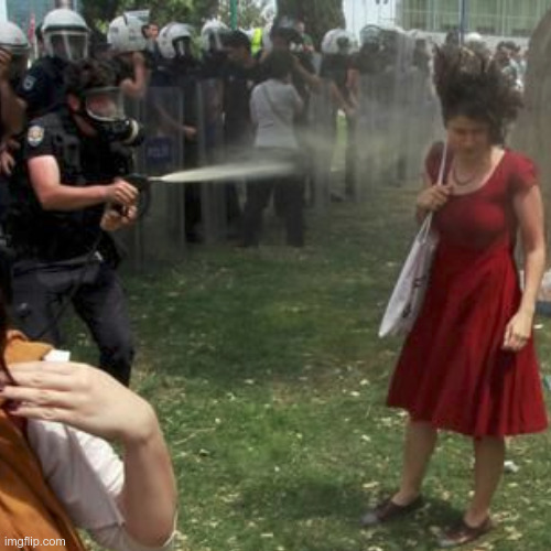 LiamOMaraIV's tweet photo. On #ThisDayInHistory in 2013, #GeziPark protests began in #İstanbul. Coalescing around opposition to losing the park, the leaderless movement inspired by #OccupyWallStreet &amp; the #ArabSpring spoke out broadly for #PressFreedom and against declining secularism under Erdoğan's AKP. https://t.co/JQHU1s2Wl6