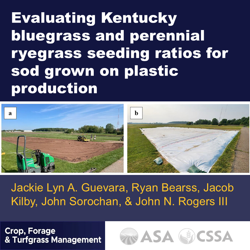 cropforageturf's tweet photo. ⚽ 6 Kentucky bluegrass-perennial ryegrass seeding ratios were evaluated for sod grown on plastic establishment &amp; strength.

The findings will help farmers produce high-quality sod for sports fields, in less time.

https://t.co/lne6ZWdmiH

@rbearssturf @Sorochan @MSUturfdoc https://t.co/MXHfdI3dPy