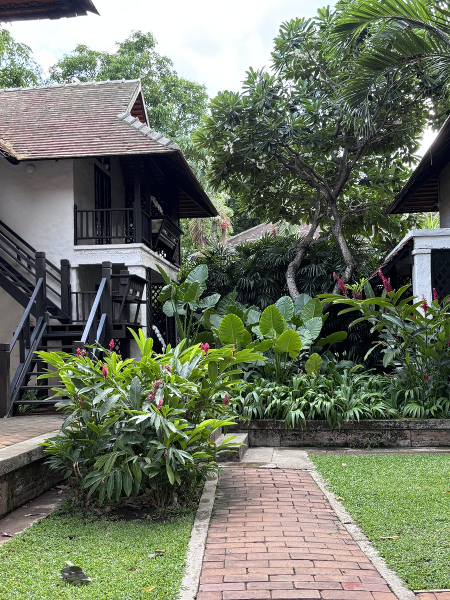 alanlchr's tweet photo. Escape from hectic to tranquil 🍃

📍 Tamarind Village Chiang Mai

หลีกหนีความวุ่นวาย เงียบ สงบ ใจกลางเมือง

แทมมารีน วิลเลจ เชียงใหม่

#Tamarindvillage #Chiangmai #เชียงใหม่ #Adayinchiangmai https://t.co/Ujw2fqDuSh