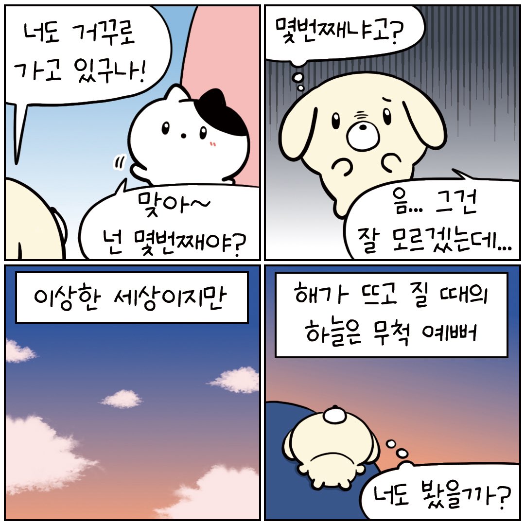 bad_bad_forest's tweet photo. 늘 너의 뒤에서🧸 (1/3) https://t.co/js7Zbwjp9m