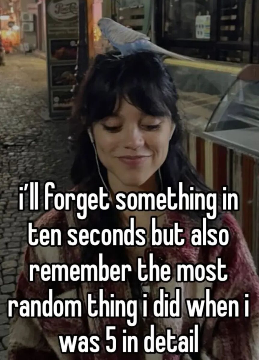 WholesomeMemes tweet media