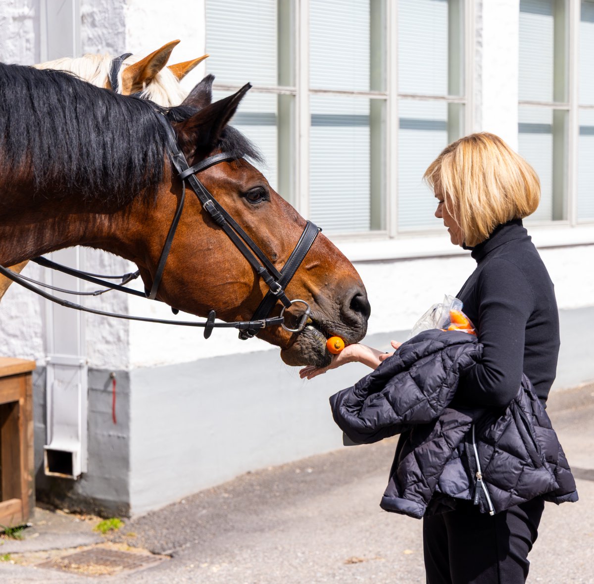PoliisiHelsinki's tweet photo. Sisäministeri Mari Rantanen vieraili tänään Helsingin poliisilaitoksella. Poliisipäällikkö Jari Liukku esitteli poliisilaitoksen toiminnan tuloksia. Lisäksi ministeri tutustui valvontatoimintaan ratsupoliisissa ja Länsisatamassa. https://t.co/nQvF1rYfQA