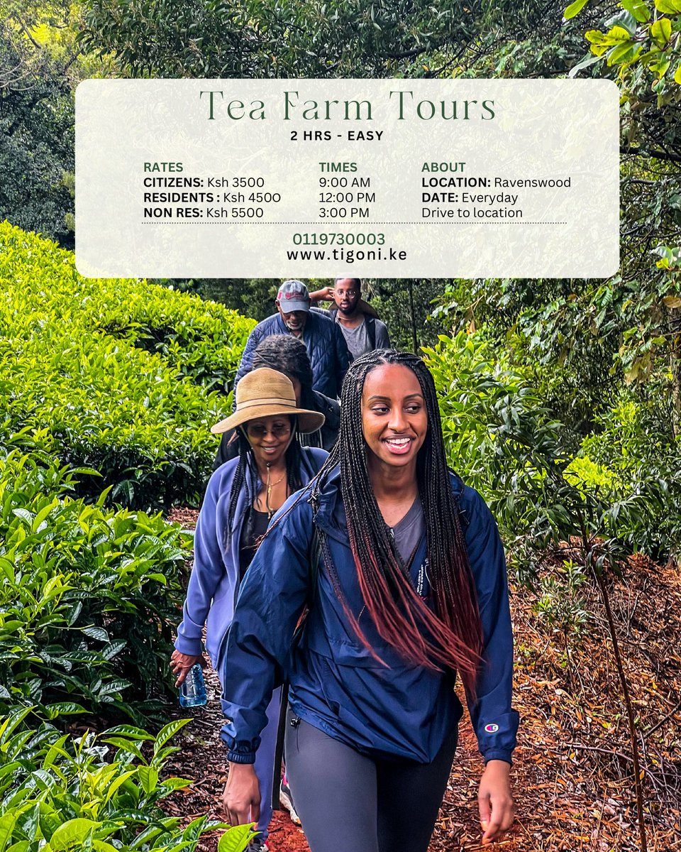 LifeinTigoni's tweet photo. June in Tigoni
https://t.co/EmGvy7J9ee https://t.co/OBXoSuRWkX