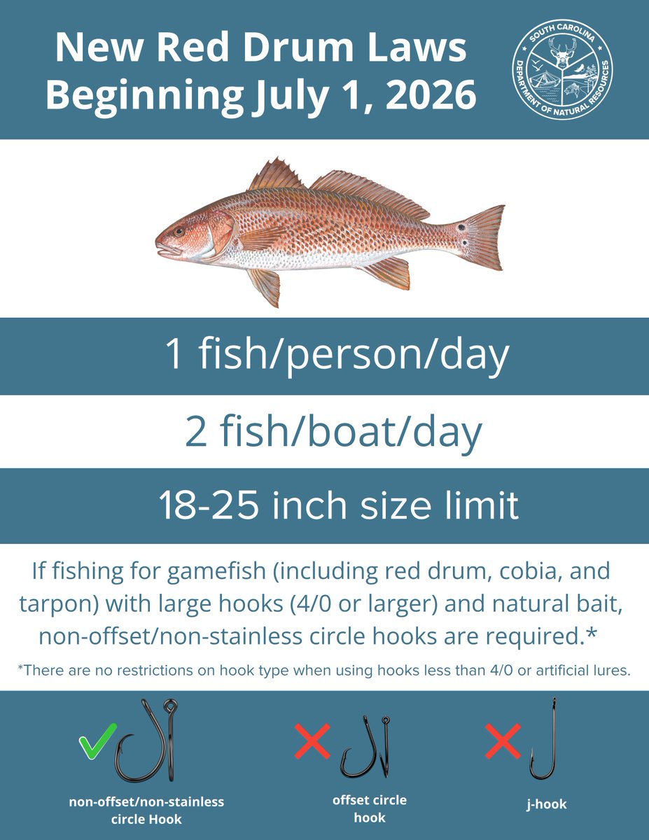 SCDNR's tweet photo. The South Carolina Legislature recently passed a suite of changes to red drum laws to help ensure the sustainability of the fishery into the future. These changes take effect on July 1, 2026. https://t.co/EGUqSYT81k