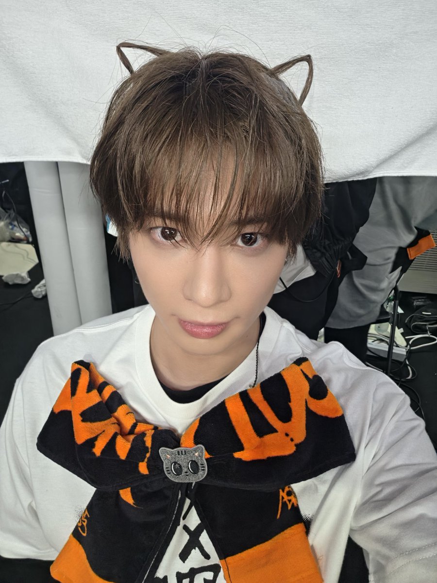 bIueorange's tweet photo. 아어떡해..
2019년에도 2026년에도 변함없는건  고양이뿐이고   변한건 내 썩어빠진 마음가짐뿐이구나... https://t.co/ZcJ0zrLsN4