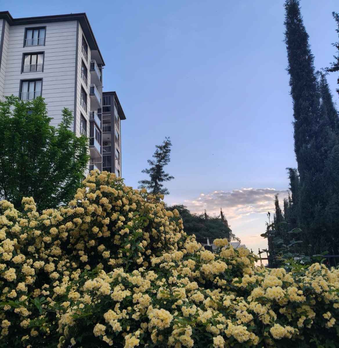 mathhteacherrr's tweet photo. Her nasip için ayrı ayrı
Rahmet şekillenir.. https://t.co/F8MSNDqaU2