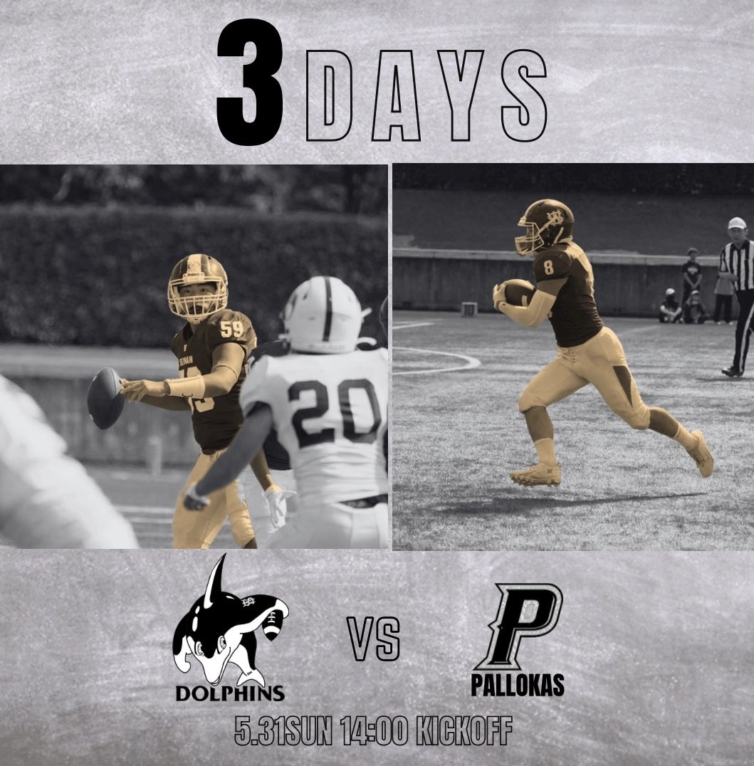 sw_Dolphins's tweet photo. 【3DAYS】
🆚九州大学PALOOKAS @Palookas1976 
📅2026.5.31 （sun）
⏰14:00 Kick off
🏟️平和台陸上競技場
#seinan
#greendolphins
＃西南アメフト部
#アメリカンフットボール
＃アメフト https://t.co/BXrbv1rHQw