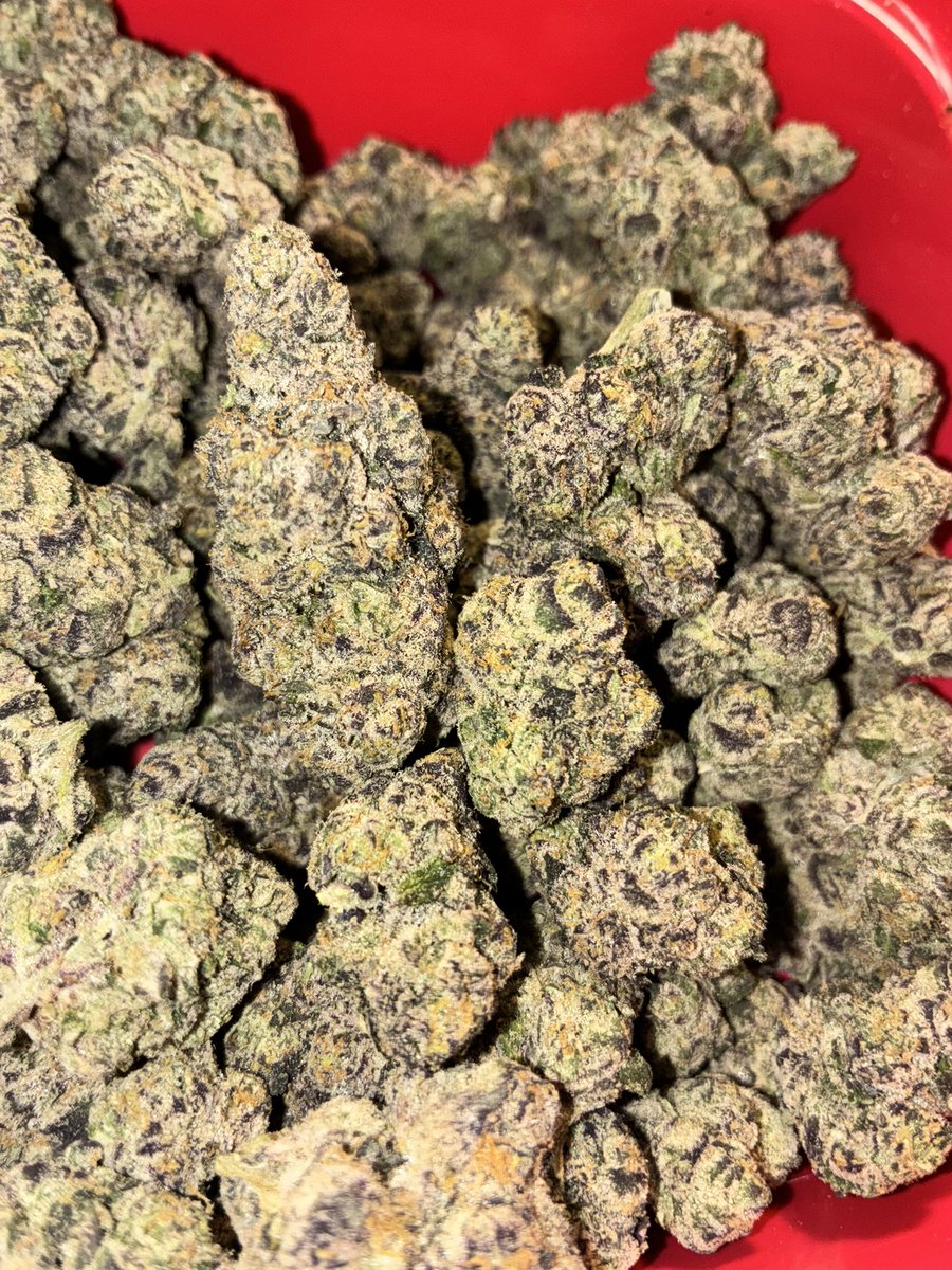 theplughtown's tweet photo. Houston SPRING BREAK📍 PLUG
3.5/25($35 if ur more than 30 mins away) 7/50 14/90 Zip/150 
2Zip/250

100 DOLLAR ZIP SPECIALS

#houston #houstontexas #htx #htxplug
#houstonplug #weed #htxweed #katyTx
#htxplug   #houston #tourism #baytowntx #houstontx #downtown #springbreakhouston https://t.co/7m6kXGgMMc