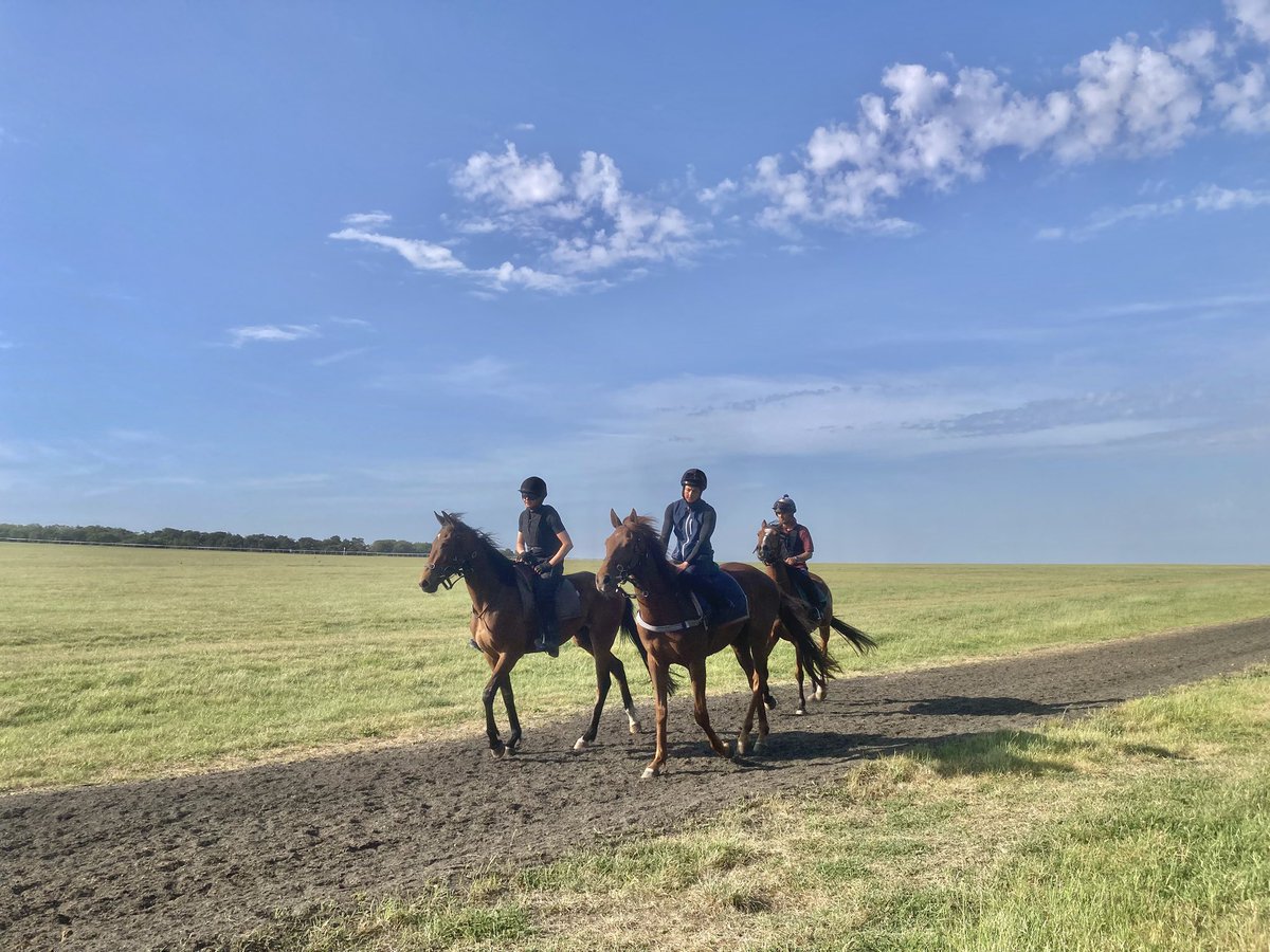 JohnWathenBerry's tweet photo. Very good to have had the help of @GinaMangan7 during a productive morning on a very warm day in Newmarket #Merrijig #BenBhraggie #Littleferry #SmooCave #LittlePeter https://t.co/ybg2gDMxzz