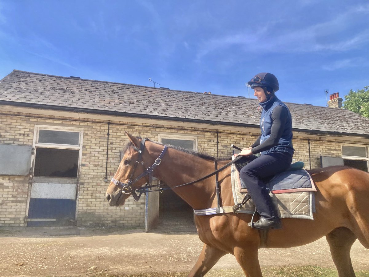JohnWathenBerry's tweet photo. Very good to have had the help of @GinaMangan7 during a productive morning on a very warm day in Newmarket #Merrijig #BenBhraggie #Littleferry #SmooCave #LittlePeter https://t.co/ybg2gDMxzz