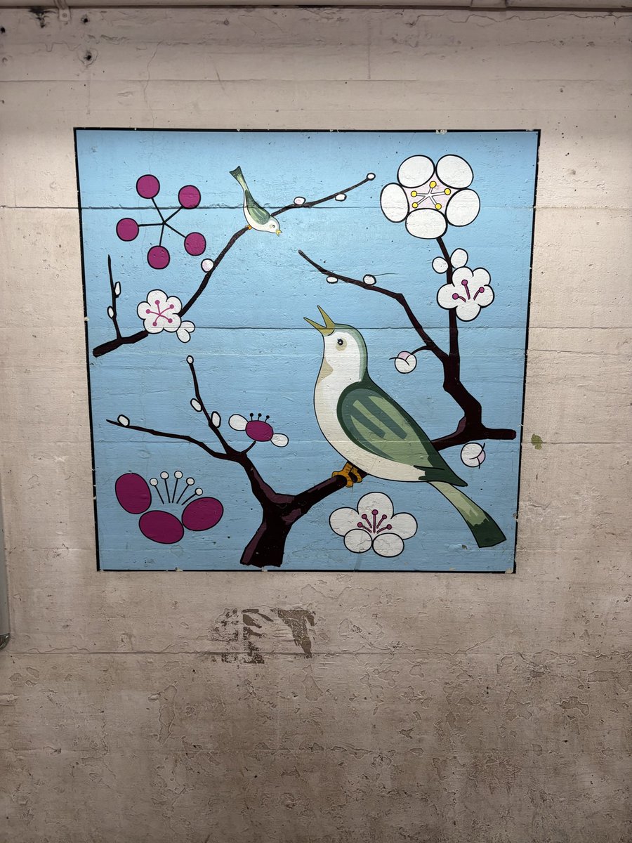 Cokitter's tweet photo. つるりんちょ。
2軒目。ちょっと遠出だけど
#萩の湯 サイコー https://t.co/NyF0RpRAQf
