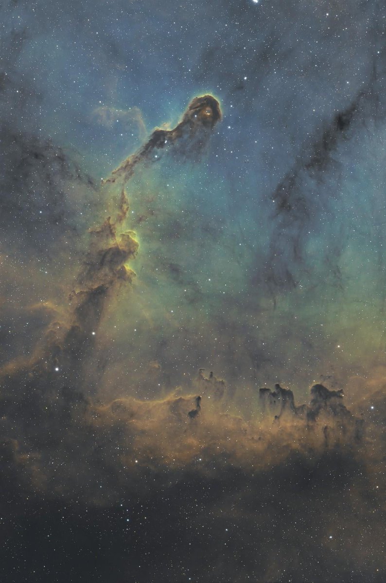 ScienceXnature's tweet photo. IC 1396, the Elephant Trunk Nebula : r/astrophotography https://t.co/kJDiI53MZH