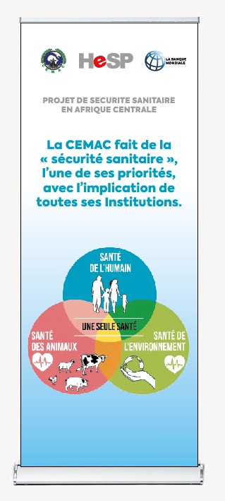 HeSP_AC's tweet photo. Participent à cet atelier les institutions de la #CEMAC œuvrant dans l'Approche Une Seule Santé et qui sont impliquées dans la mise en œuvre de HeSP-CEMAC au niveau régional et au niveau des pays bénéficiaires : #OCEAC, #CIESPAC, #PRASAC, #CPAC et #CEBEVIRHA. 2/3
#HeSP #CEMAC https://t.co/NUT0GPdiaM
