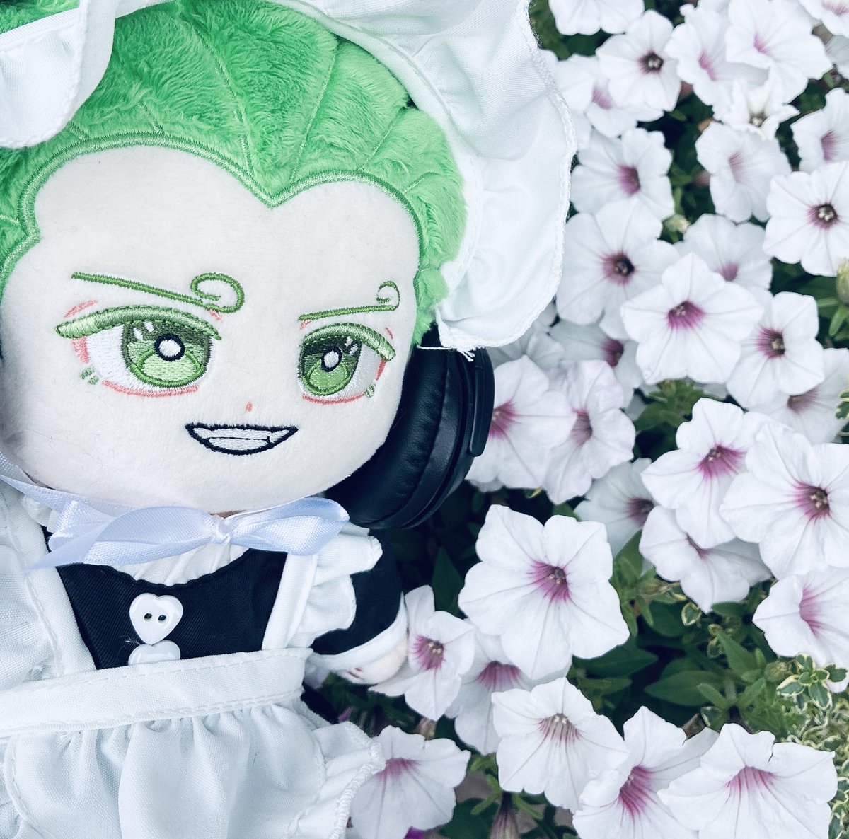 rintrasu's tweet photo. 家の花とメイド服を着せたヨンジ https://t.co/7RdHHWadIt
