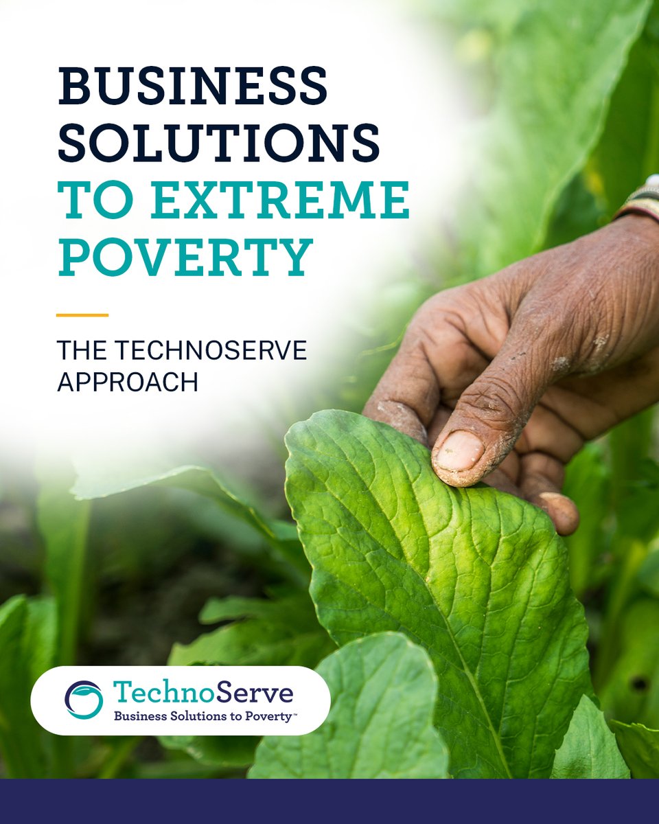 TechnoServe's tweet photo. Long-term impact comes from opportunity, not short-term fixes.
TechnoServe helps marginalized producers access markets, build skills, and grow sustainable businesses that address the root causes of poverty.
https://t.co/drmGbew3n2 https://t.co/jac7AIz94t