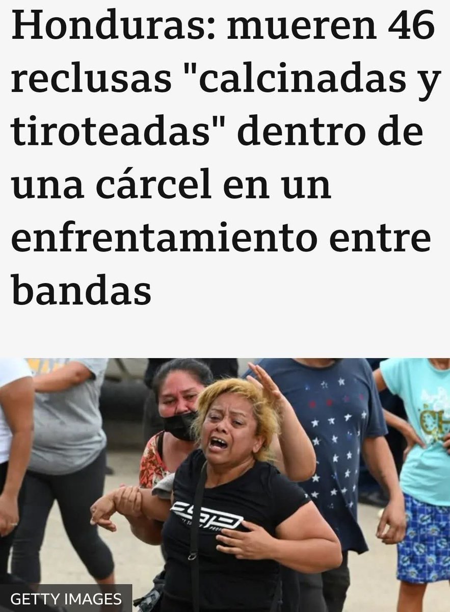 El Mapache Infiltrado 🦝 tweet media