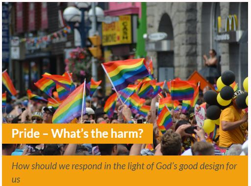 LovewiseOnline's tweet photo. Pride month takes place across the UK in June. Many schools hold events encouraging pupils to celebrate a growing range of sexual identities, but what's the harm and how should we respond as Christians? Read more: https://t.co/zGSoGXNNxd https://t.co/NAYxyYlC8p