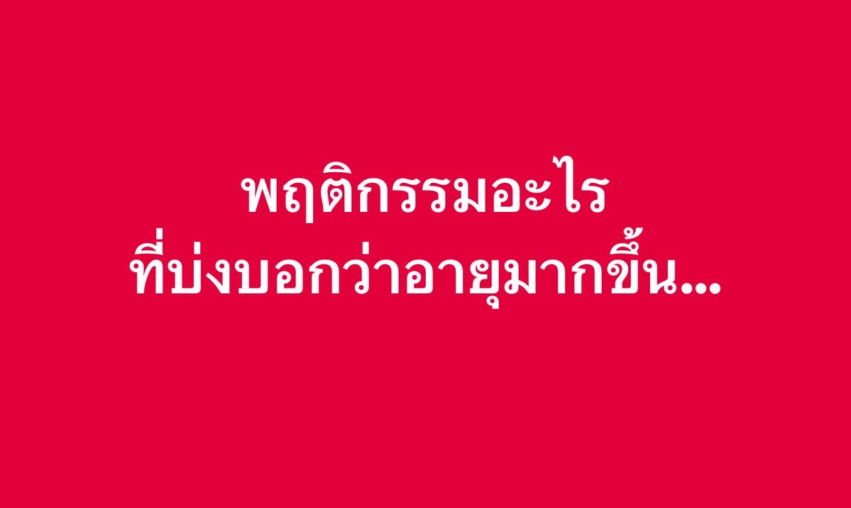 ช่างแม่ง🐰🏳️‍🌈 tweet media