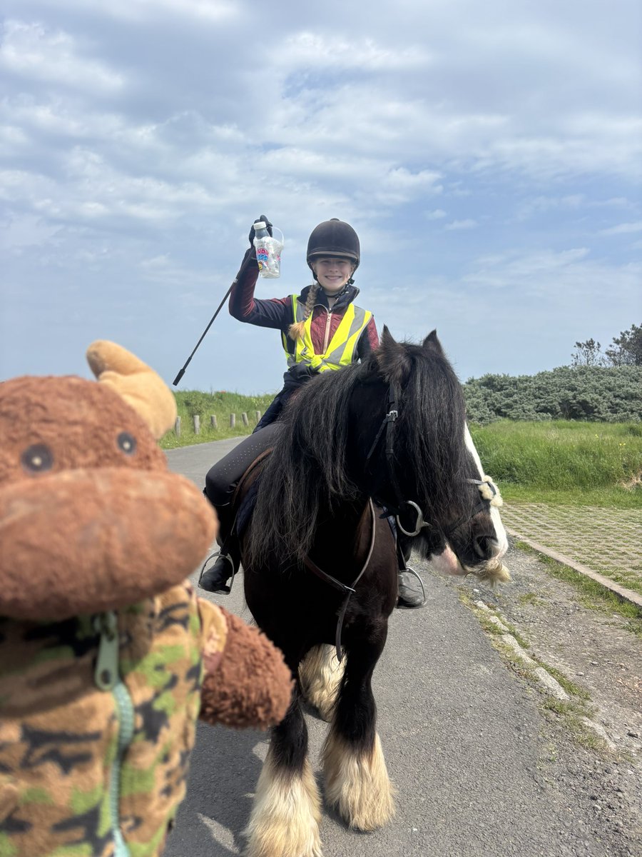 waddells74's tweet photo. Protecting all road 🛣️ people and riders 🐴 🏍️ 🚘 🚐 🚛 ⚠️ #litter Flingcars !!! STOP ✋ these items could cause a 🐴 to slip and veer in to the path of a vehicle 🚗 think 🤔 it takes 2minutes to #Binit Try harder humans 😀 thank you 🙏 👧 💕 🦌 💕 🐴 😀 xx https://t.co/OD5kVlYDVH