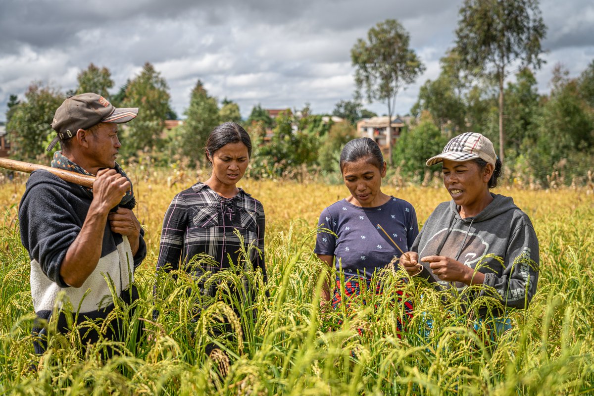 akdn's tweet photo. This #WorldNutritionDay, a new approach in Madagascar highlights how community savings groups can help families improve their diets, build resilience and sustain change.  

👉 Learn more: https://t.co/yoIAhjJZLi https://t.co/3D5rKa13Ox