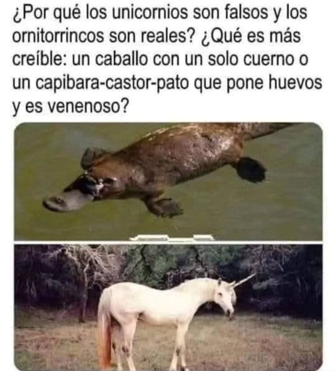 Más Ciencia tweet media