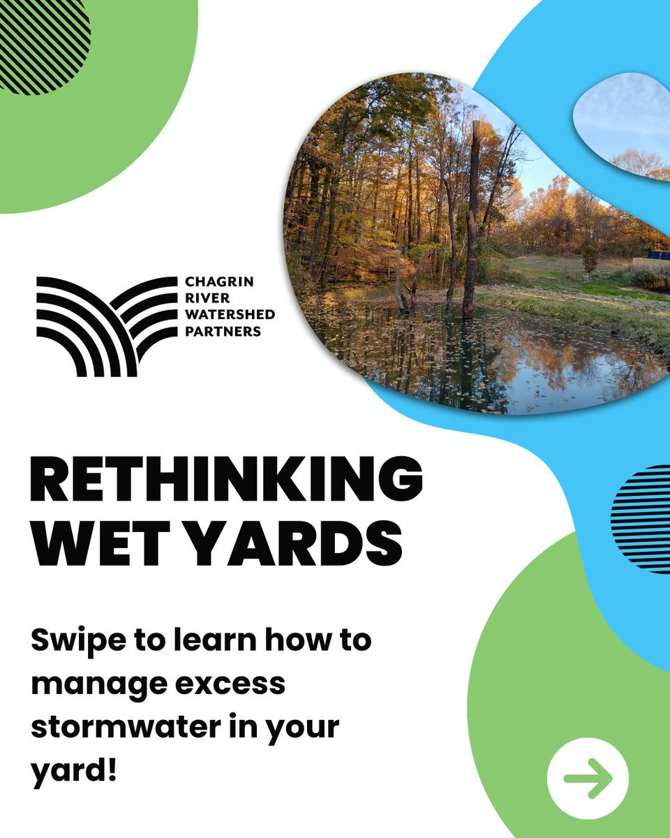 chagrin_river's tweet photo. Rethink your wet yard. Heavy storms don’t have to mean puddles and runoff. Check out these eco-friendly ways to slow down, spread out, and soak up stormwater to help ease flooding and drainage problems. 
Learn more about these techniques: https://t.co/QWTLpmXXTK https://t.co/0QqaJgisIQ