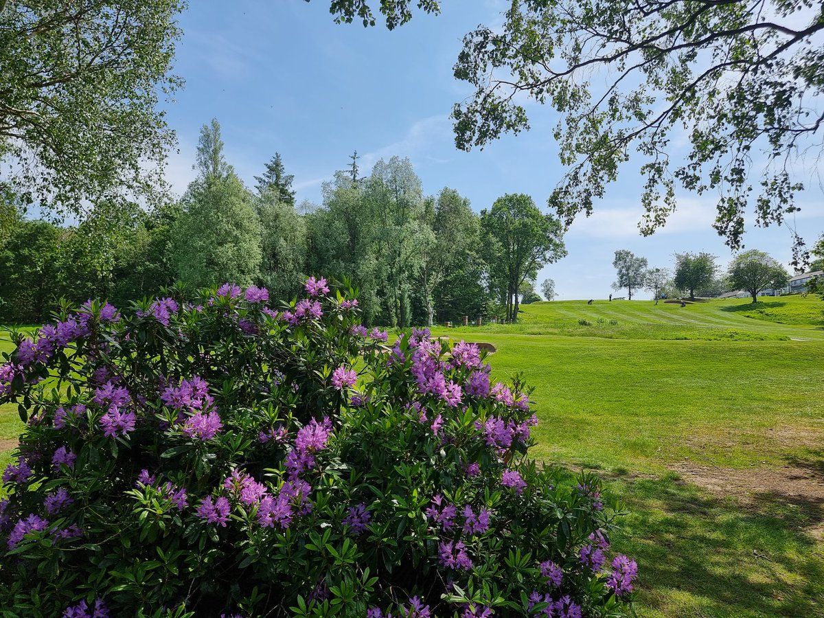 LeesHallGC's tweet photo. Looking great in the sun 🌞🌞 https://t.co/0p3Sx1sfgP