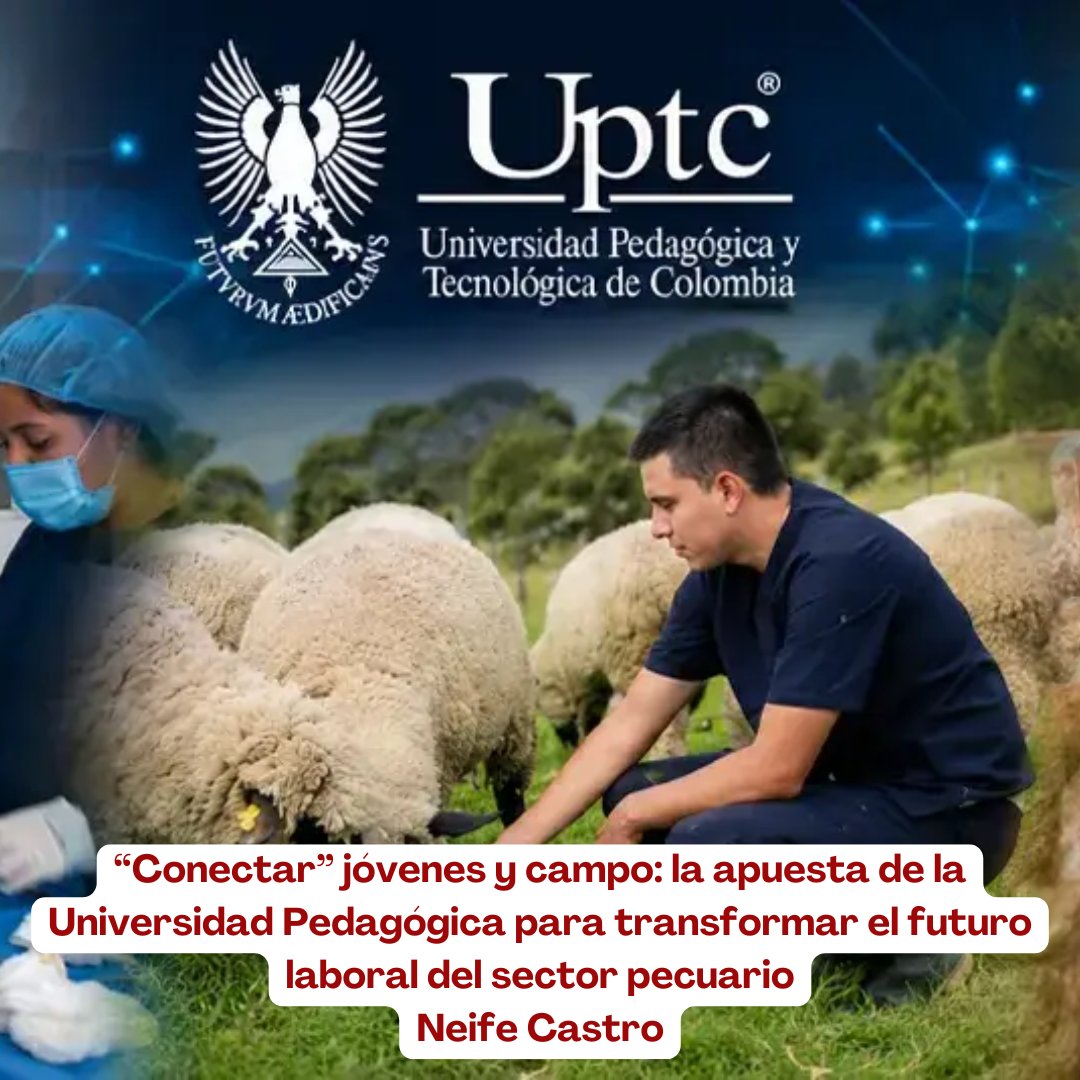 PL_Chiquinquira's tweet photo. 🐄🎓 El pasado 20 de mayo, la @UPTCoficial realizó la Feria de las Oportunidades Pecuarias, un espacio que conectó a estudiantes, profesionales y empresarios del sector agropecuario. 🌱🤝

@fedegan @jflafaurie @ContGanadero @PL_Tunja  #ConstruyendoGanadería https://t.co/DwR72l2Z05