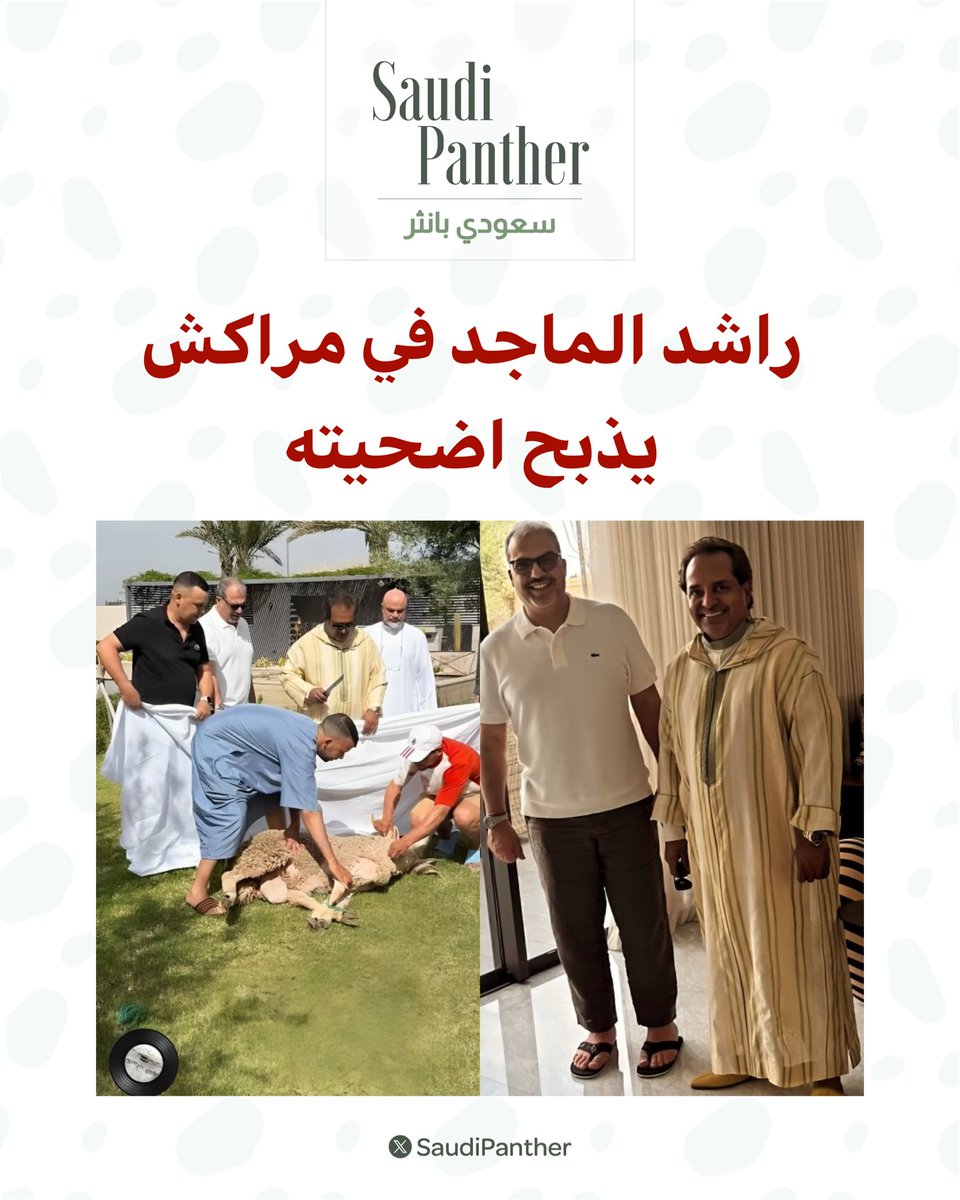 saudi panther | سعودي بانثر tweet media