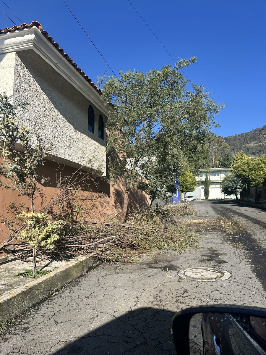 Georginasilva44's tweet photo. @TolucaGob por la madrugada hubo un reporte de un árbol caído. @bomberostoluca y @PoliciaToluca acudieron y quitaron el árbol. Dónde puedo solicitar apoyo para que retiren las ramas y tronco?
Se encuentra en calle Tlalnepantla, entre Privada de Chalco y Lerma, Col. Sector Popular https://t.co/0OFcfEplis