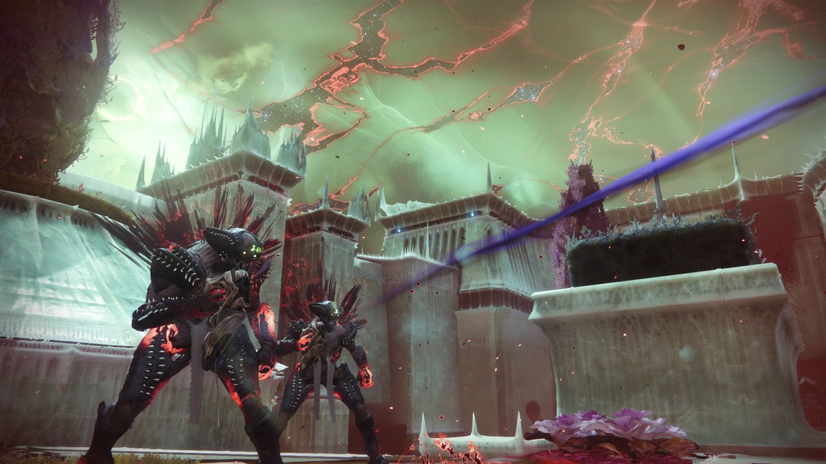 DestinyTracker🚀 tweet media