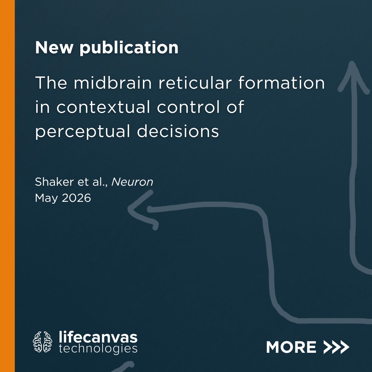 LifeCanvasTech's tweet photo. A new study from @SteinmetzNeuro’s lab dissects the neural circuitry of context-dependent responses – like deciding what to do during a fire drill vs a random fire alarm – honing in the role of a region called the midbrain reticular formation (MRF). (1/3) 🧵 https://t.co/V1yCxXuFyi