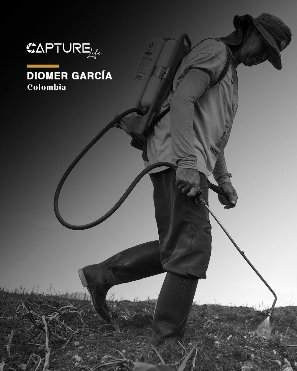 fifcolombia's tweet photo. Diomer García desde Medellín, Colombia 🇨🇴 Galería Colectiva 📸👏👏

Capture Life 4ta edición -2026 @fifcolombia 

#FIFColombia #FIF2026 #CaptureLife #RevistaLatinoamericana #Colombia https://t.co/yW7nrsfrHU