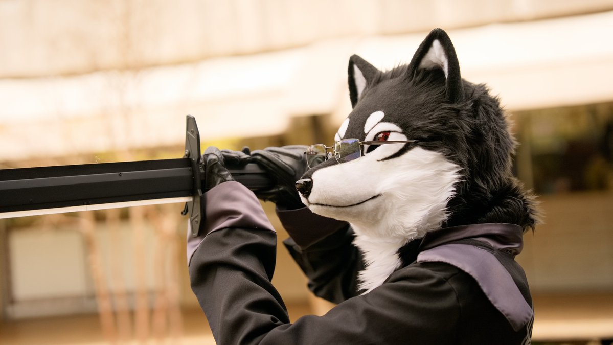 kimurasuka_kmn's tweet photo. 集中……！

#FursuitFriday
#FurticStudio
#もふしっぽ会 https://t.co/e14p4B1vi5